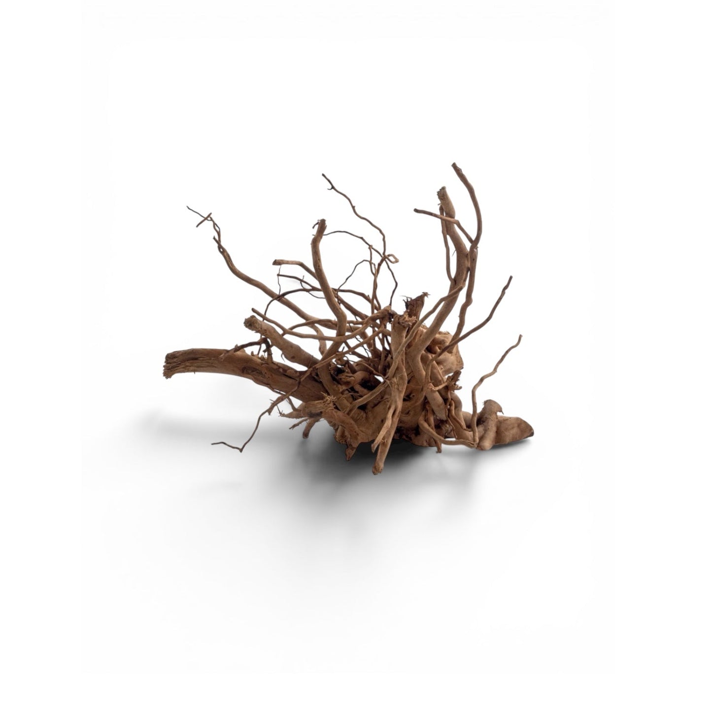 Scaper's Select Spiderwood