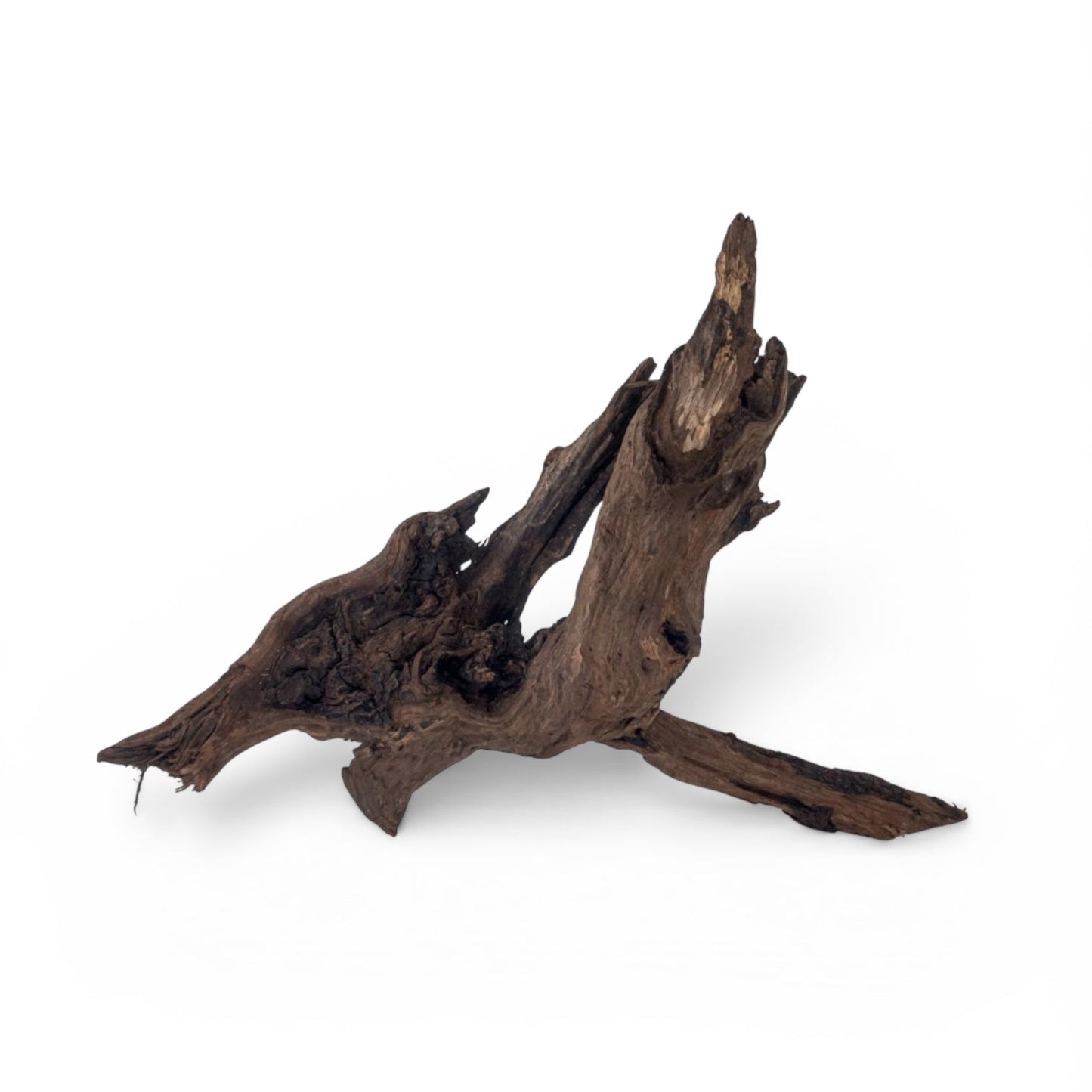 Scaper's Select Driftwood