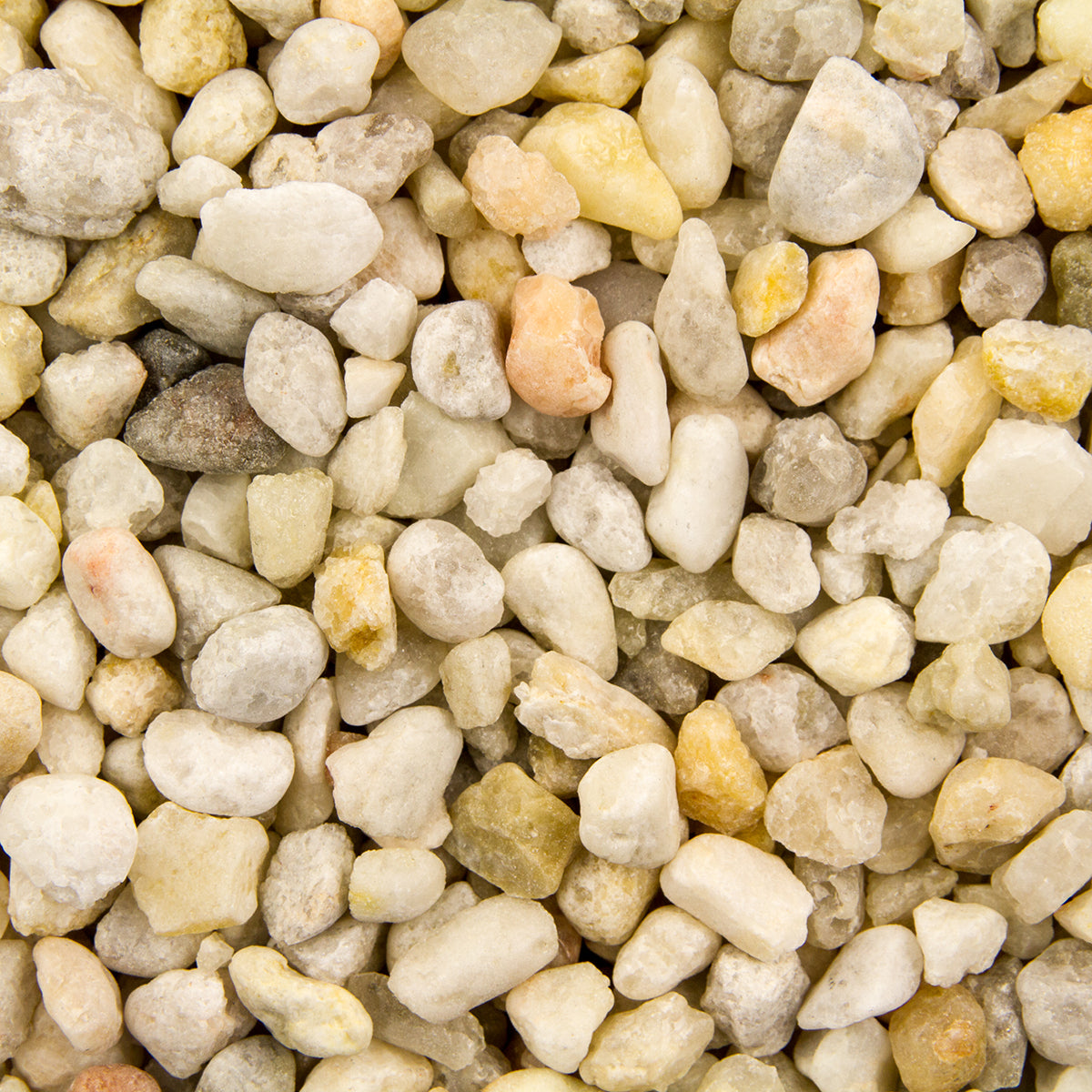 OCEAN BEACH PEBBLE