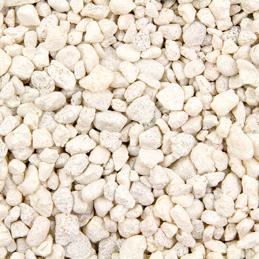 SPECIAL WHITE