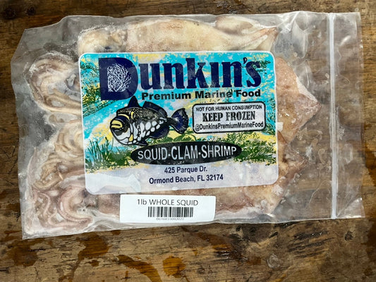 SQUID WHOLE