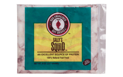 SFBB Squid