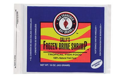 SFBB Brine Shrimp