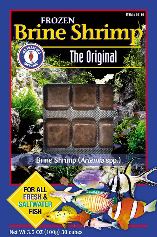 SFBB Brine Shrimp