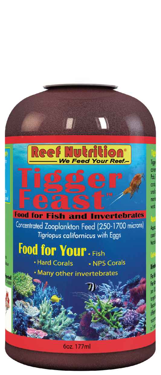Tigger-Feast