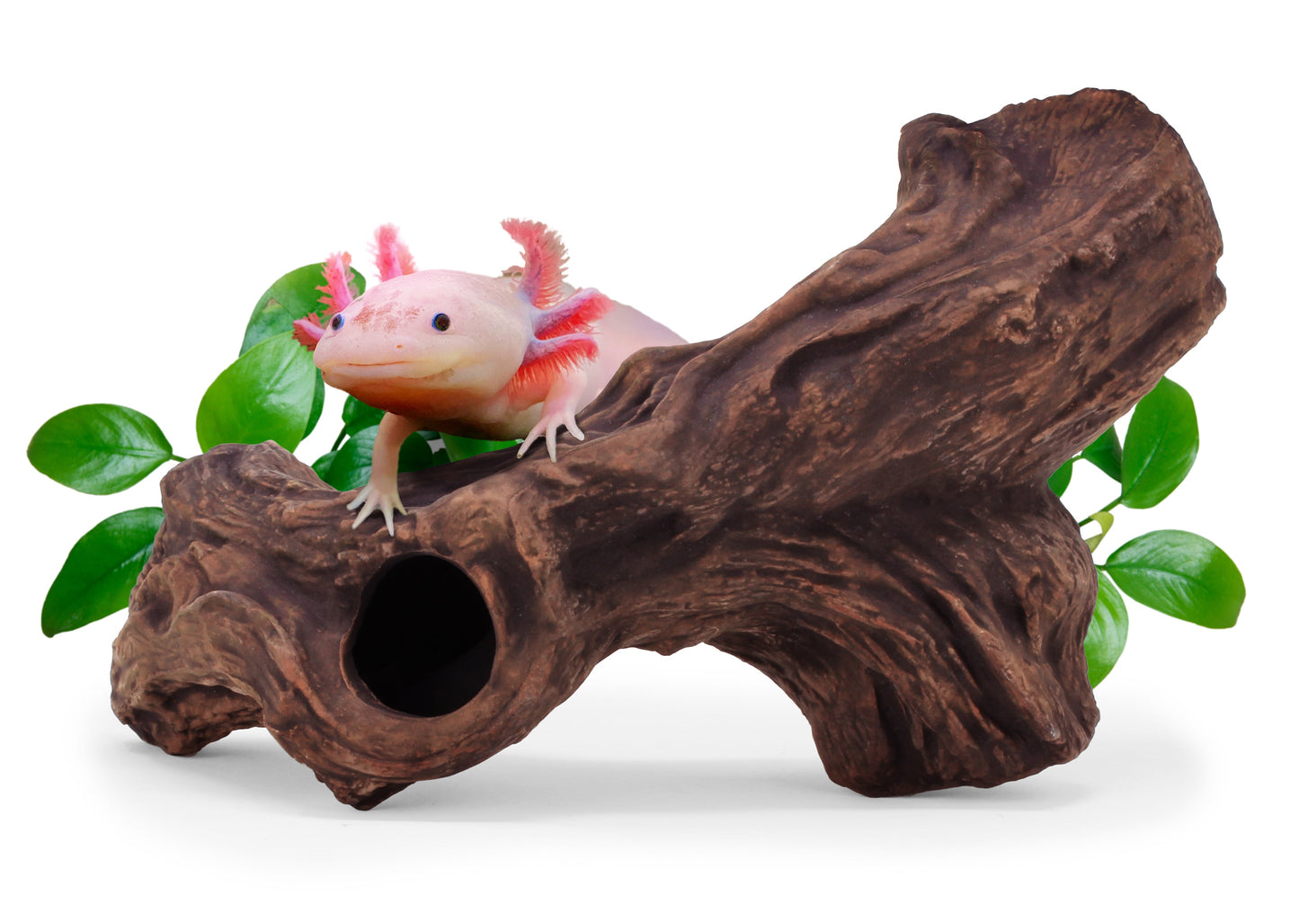 ceramic hide B3