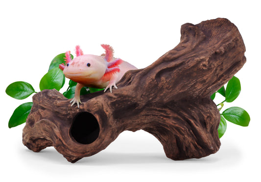 ceramic hide B3