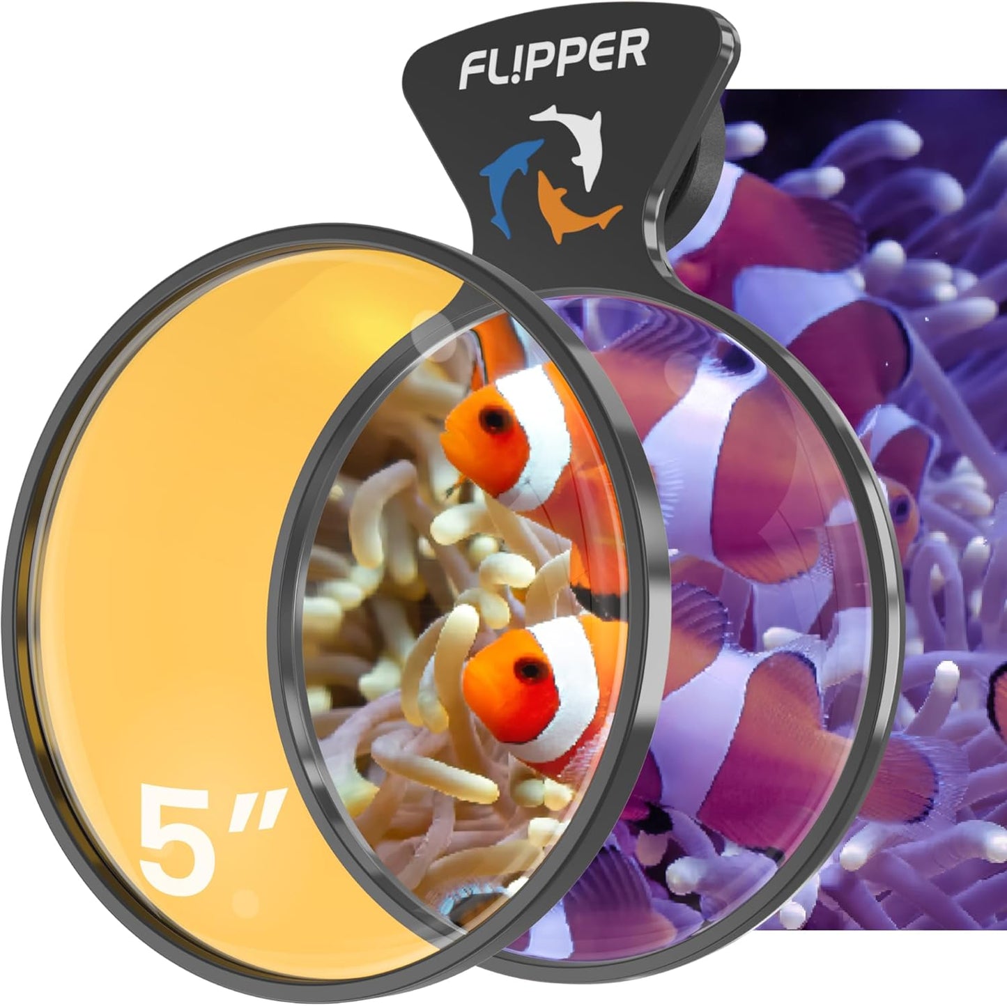 DeepSee Viewer - Orange Lens