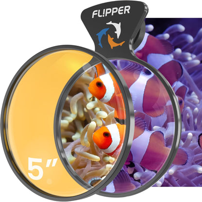 DeepSee Viewer - Orange Lens