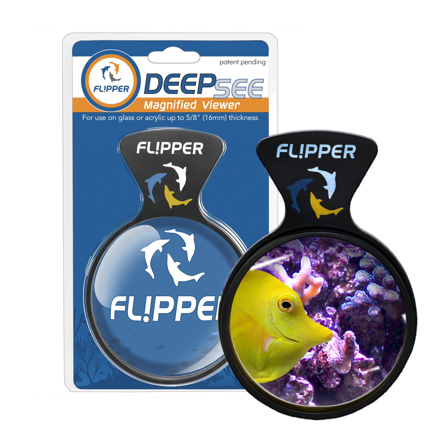 DeepSee Viewer
