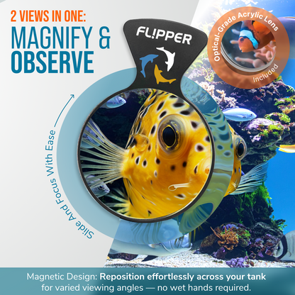 DeepSee Viewer
