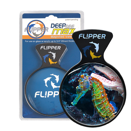 DeepSee Viewer