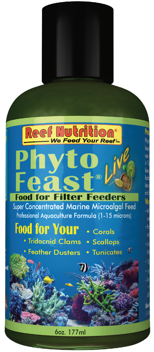 Phyto Feast Live