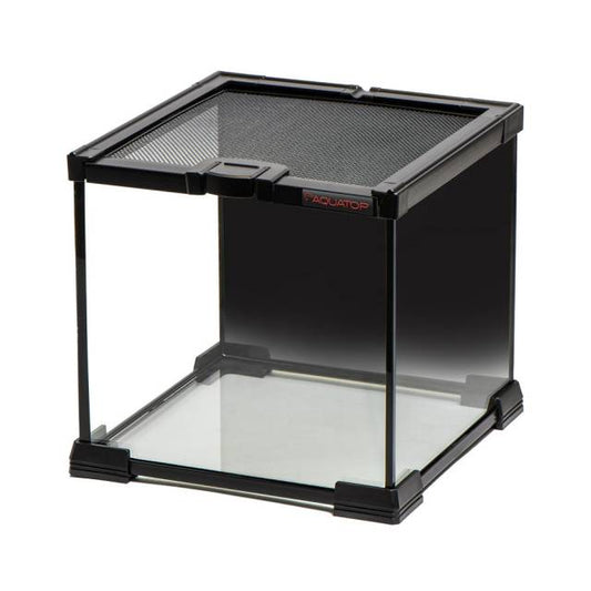 GLASS TERRARIUM CUBE WITH MESH TOP