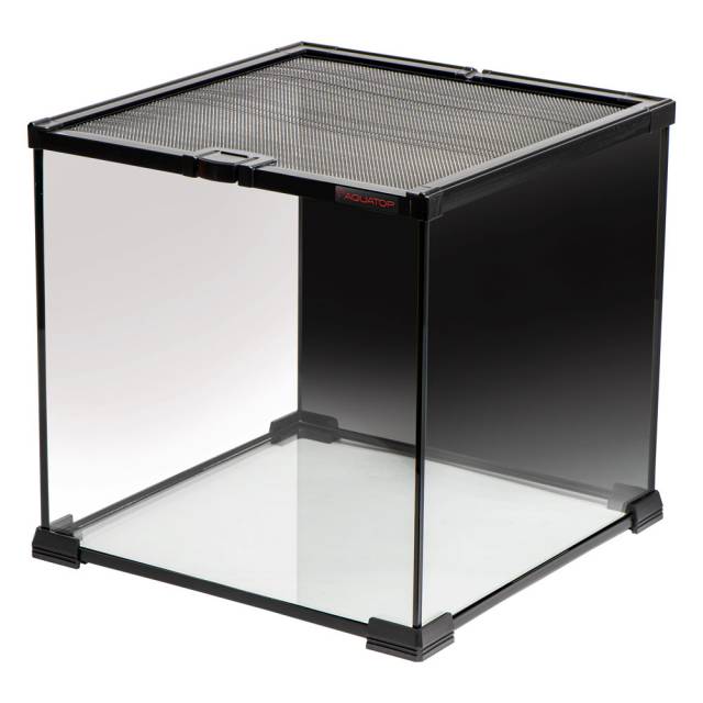GLASS TERRARIUM CUBE WITH MESH TOP
