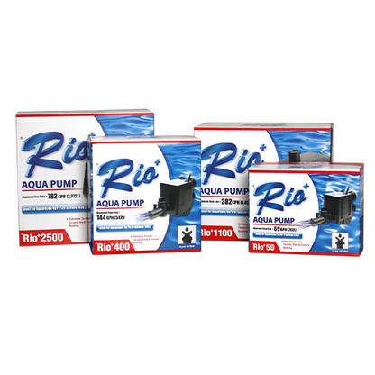 Rio® + Aqua Pump UL Version