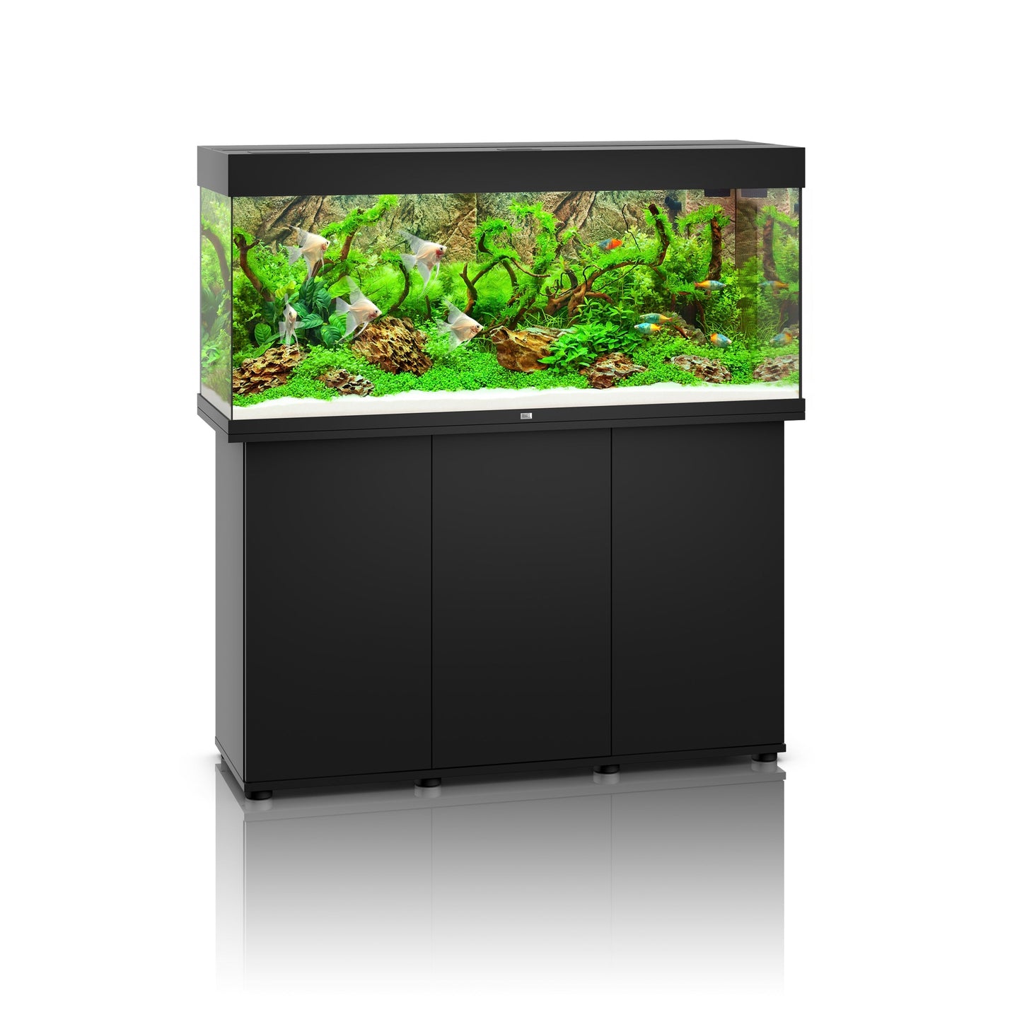 Juwel Rio 240