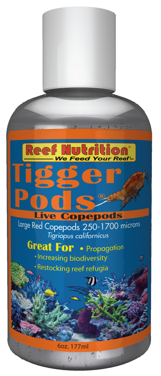 Tigger-Pods Live