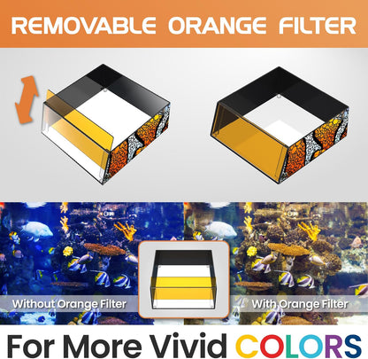 Flipper Top Down Viewer