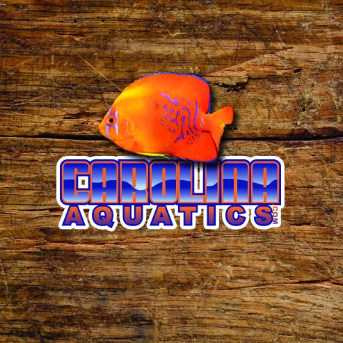 AquaStik White Stone