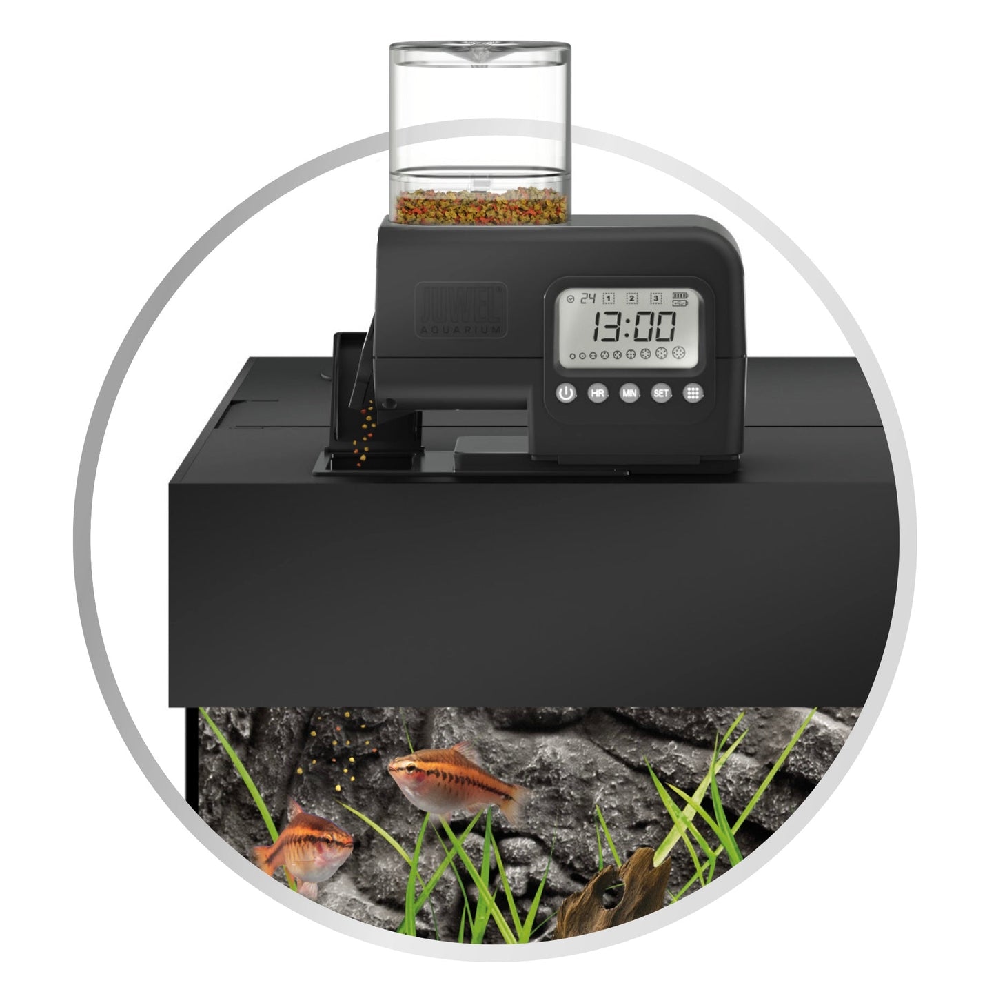 SmartFeed 2.0 - Automatic Feeder